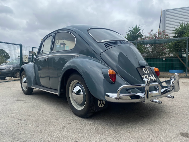 Amazing survivor South Africa car RHD