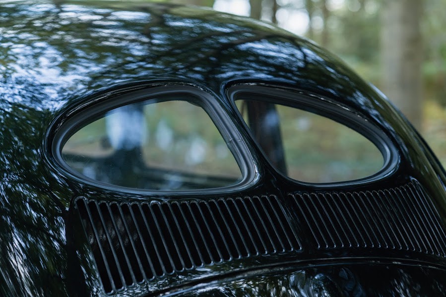 Amazing 50 split window beetle - SOLD